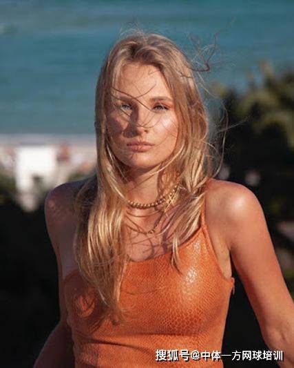 樊振东和王 樊振东和王