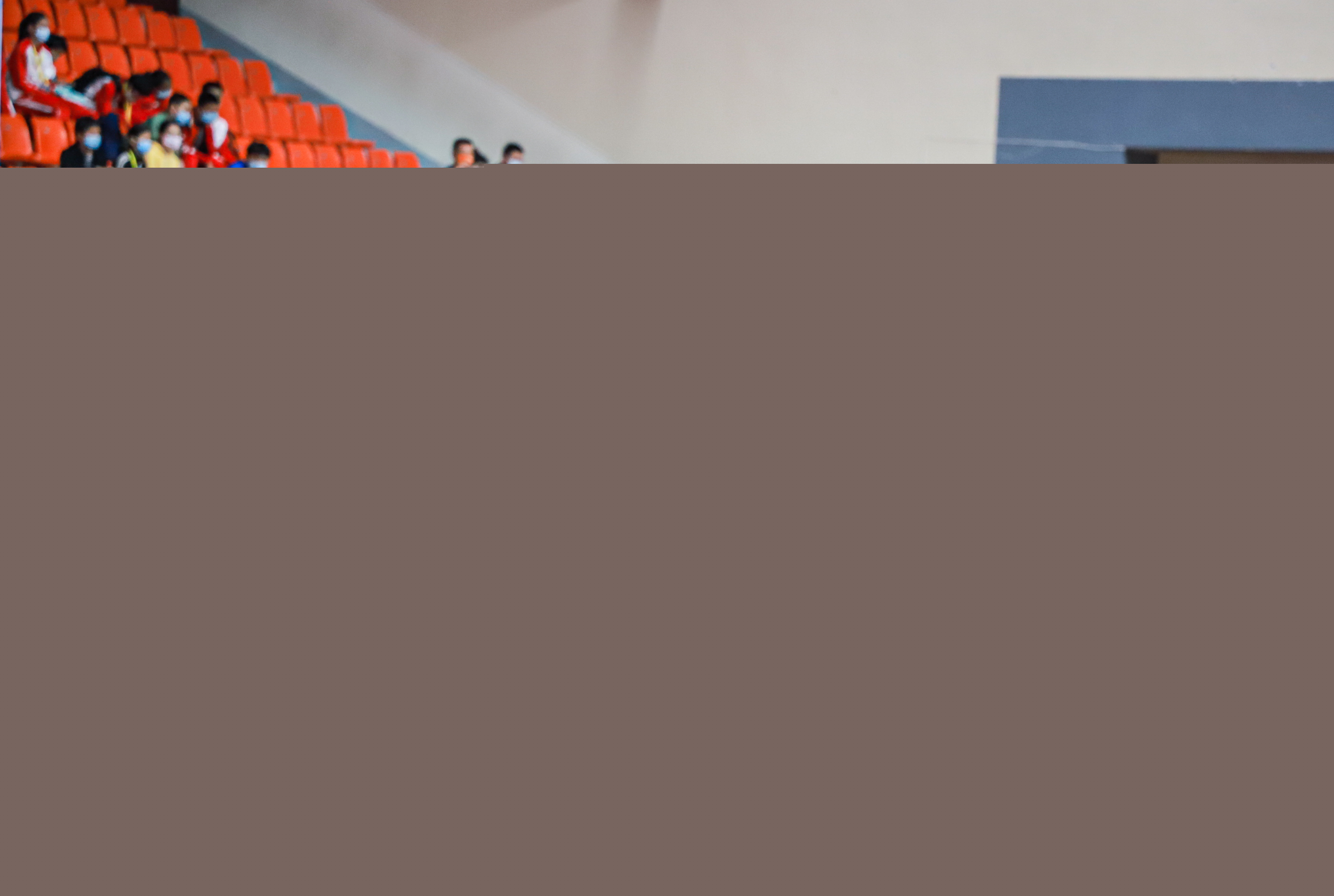 动发展的影 动发展的影